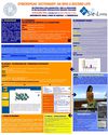 “Cyberspeak Glossary” da Wiki a Second Life: un percorso collaborativo per la creazione di un glossario...