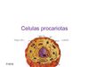 biologia