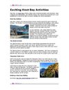 Exciting Hout Bay Activities
