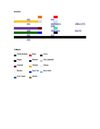 TABLA DE COLORES