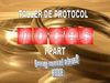 2. presentacio protocol noces (I)