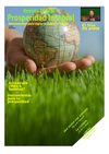 REVISTA PROSPERIDAD INTEGRAL n 2- JULIO 2010