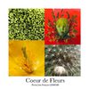 Coeur de fleur