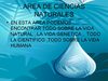 AREA DE CIENCIAS NATURALES