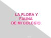 La Flura y Fauna de Mi Colegio 