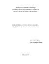 INFORME SOBRE LAS TIC EN EL NIVEL MEDIO LICEISTA