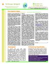 The Zeitgeist Movement Newsletter - July 2010 - Greek
