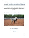 Cría de caballos en el trópico húmedo
