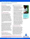 CARE Act First Focus 5.26.10