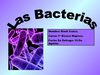 Las bacterias