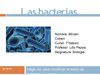Las bacterias