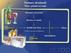 Les substituts et les fournisseurs