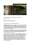 Russegler Waterfall Swift Tiere Animals Natur SelMcKenzie Selzer-McKenzie