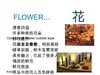 花展