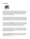 NFL Betting