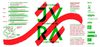 programme_jura_2010