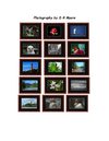 Redbubble Catalog Issue One