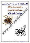 spiders