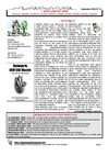 Toulouse7notrequartier journal n°31