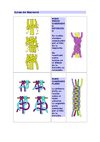 Curso de Macramé