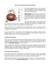 Tips To Be The Greatest Online Casino Player