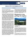 Boletín El Minero Septiembre 2010 - Año 1 - Número 7