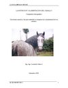 La nutricion y alimentacion del caballo