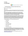 Hire Website Designers – Professional Website Design Services 