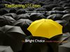 2 TS101.com About Page Presentation