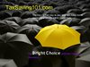 7 TS101.com Companies Page Presentation