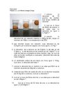 La Densidad de los Cuerpos