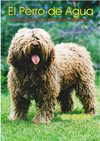 REVISTA EL PERRO DE AGUA Nº 2 AÑO 2010