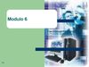 5º modulo 6