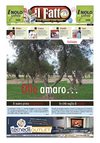 Numero 024 del 27/11/2008