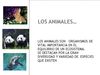los animales