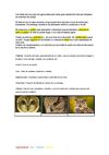 trabajo de buhos
