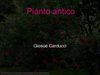 Pianto antico