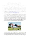 How to select the best fitness class in Los Angeles
