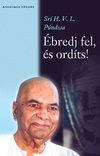 Púndzsa: Ébredj fel, és ordíts!