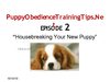 Puppy Obedience Training - Teaching and Caring For Your New Puppy