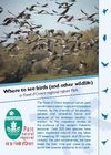 Parc naturel régional Foret Orient - Where to watch birds
