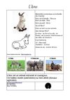 Les animaux de la ferme