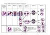 Les étapes de la méiose pour une cellule à 2n = 4