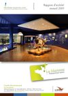 CDT Mayenne - Rapport d'activité 2009