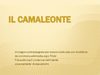Il camaleonte