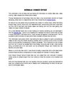 Mobile Video Sites and Digital Marketing