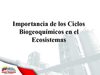 Ciclo del Carbono