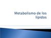 Metabolismo de lípidos