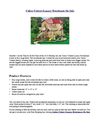 Calico Critters Luxury Townhouse