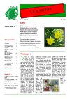La Rais'Net numéro 7
